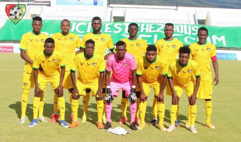 Eperviers : Alain Giresse confirmé ou une surprise attendue ?