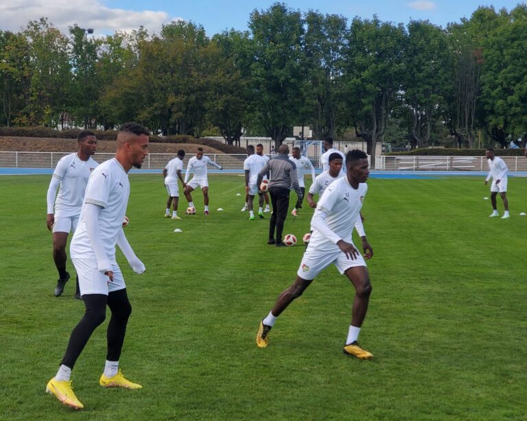 Journée FIFA : 16 Eperviers déjà présents pour le début du regroupement